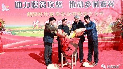 華豫萬通玉米加工機組——助力脫貧攻堅，推動鄉(xiāng)村振興