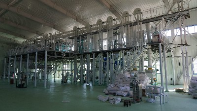 探討玉米脫皮工序會受到哪些因素影響