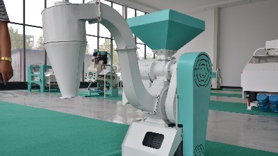 農(nóng)村小雜糧加工行業(yè)的前景怎么樣？